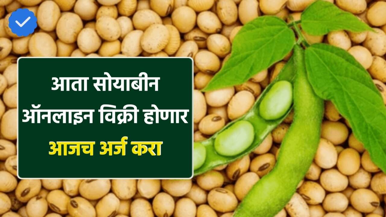 शेतकऱ्यांसाठी मोठी बातमी; सोयाबीन विक्रीसाठी ऑनलाइन अर्ज प्रक्रिया सुरू; आत्ताच नोंदणी करा