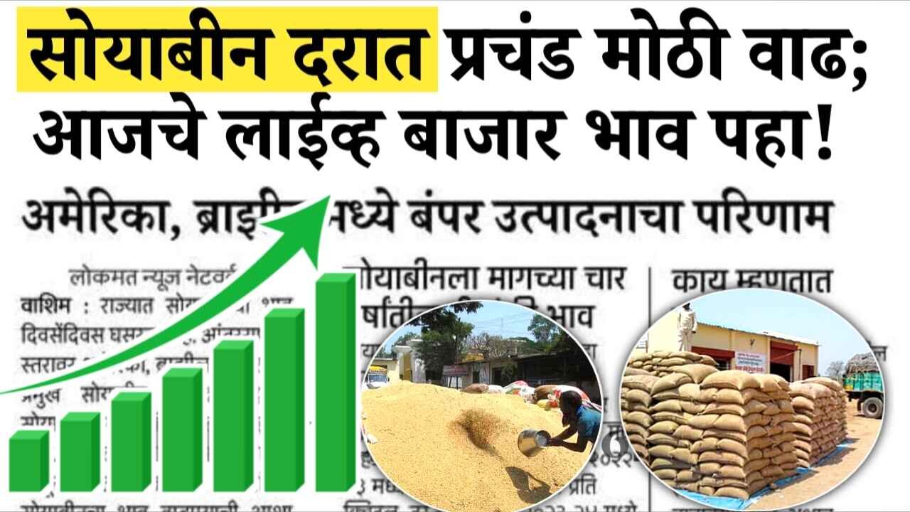 अमेरिकेतील कंपन्यांकडून मोठी मागणी; सोयाबीन बाजारभावात मोठी उलाढाल; आजचे नवे दर जाणून घ्या; Soyabean Rates today